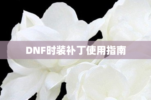 DNF时装补丁使用指南图片