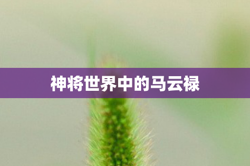 神将世界中的马云禄图片