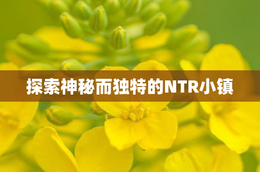 探索神秘而独特的NTR小镇图片