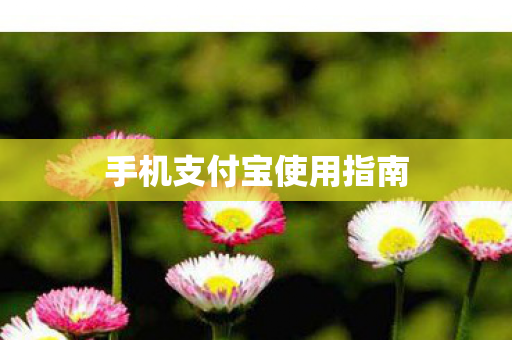 手机支付宝使用指南图片