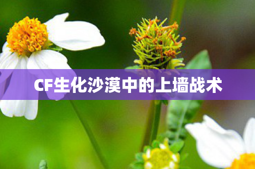 CF生化沙漠中的上墙战术图片