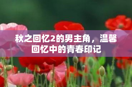 温馨回忆中的青春印记图片