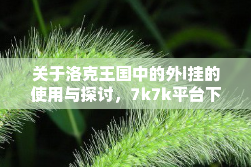 关于洛克王国中的外i挂的使用与探讨图片