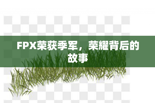 FPX荣获季军图片