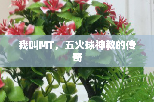 五火球神教的传奇图片