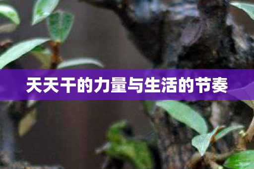 天天干的力量与生活的节奏图片