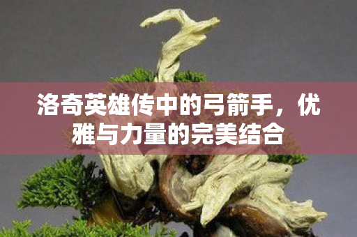 洛奇英雄传中的弓箭手图片