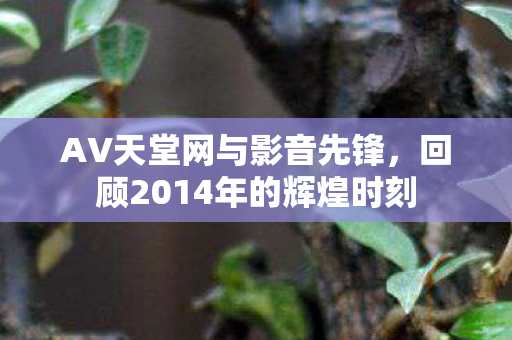 回顾2014年的辉煌时刻图片