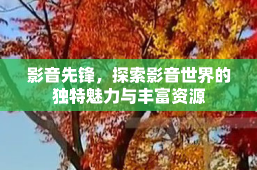 探索影音世界的独特魅力与丰富资源图片