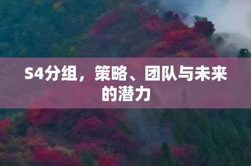 团队与未来的潜力图片