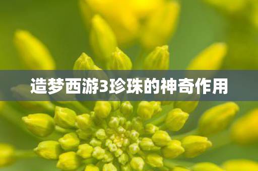 造梦西游3珍珠的神奇作用图片
