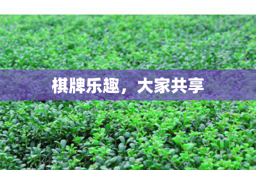 棋牌乐趣图片