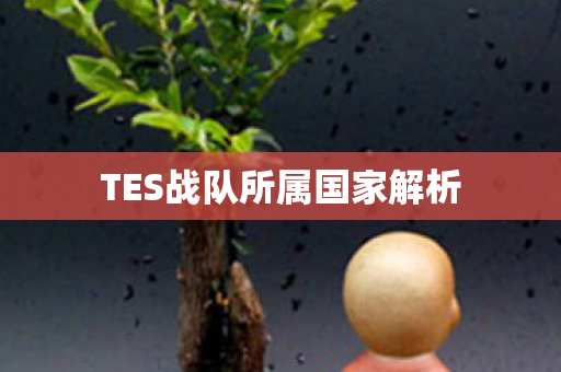 TES战队所属国家解析图片