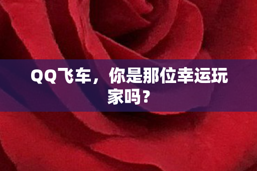 你是那位幸运玩家吗图片
