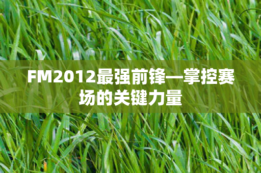FM2012最强前锋图片
