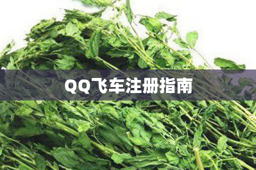 QQ飞车注册指南图片