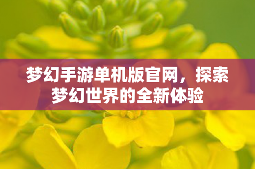 探索梦幻世界的全新体验图片
