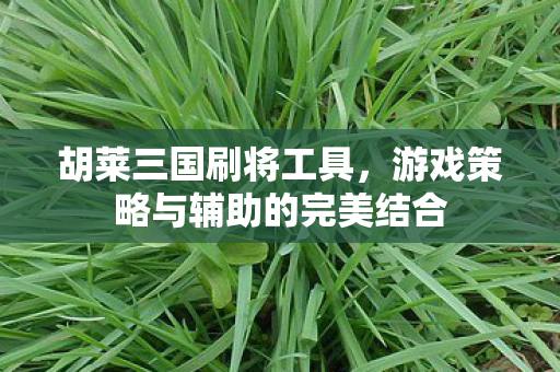 游戏策略与辅助的完美结合图片