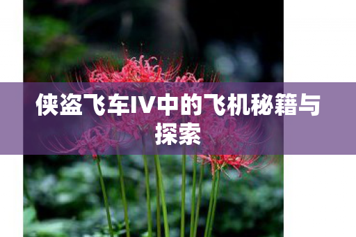 侠盗飞车IV中的飞机秘籍与探索图片