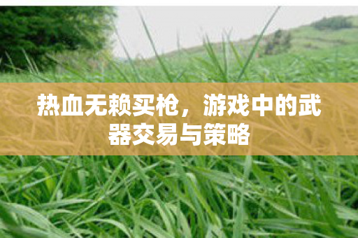 游戏中的武器交易与策略图片