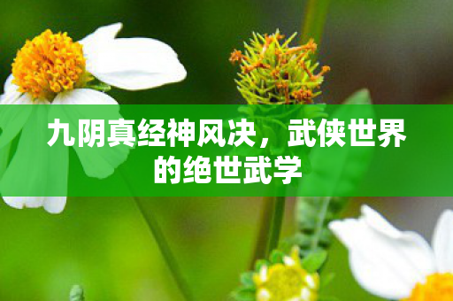武侠世界的绝世武学图片