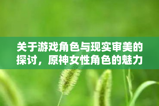 关于游戏角色与现实审美的探讨图片