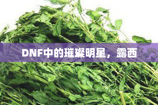 DNF中的璀璨明星图片