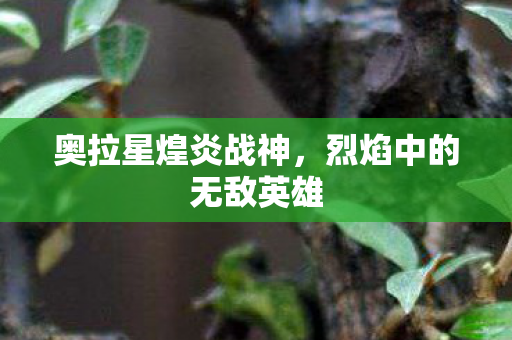 烈焰中的无敌英雄图片