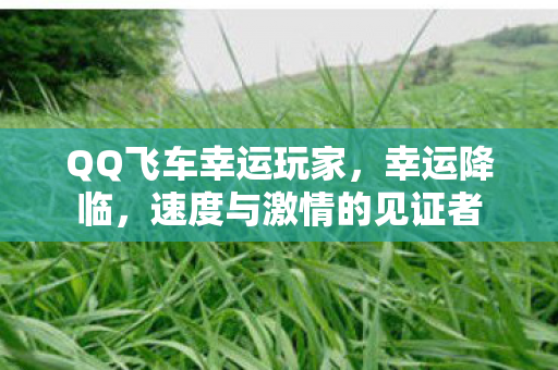 速度与激情的见证者图片