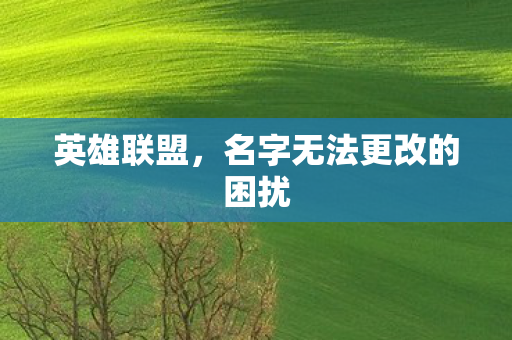 名字无法更改的困扰图片
