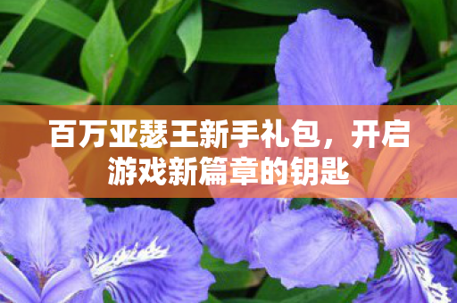开启游戏新篇章的钥匙图片