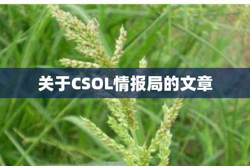 关于CSOL情报局的文章图片