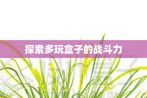 探索多玩盒子的战斗力图片