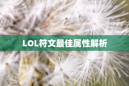 LOL符文最佳属性解析图片