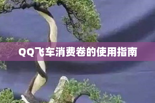 QQ飞车消费卷的使用指南图片