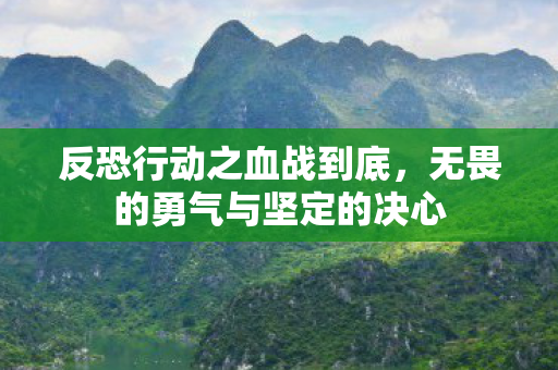 无畏的勇气与坚定的决心图片