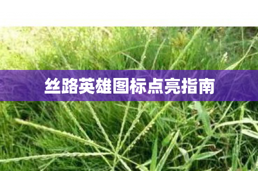 丝路英雄图标点亮指南图片