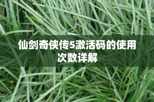 仙剑奇侠传5激活码的使用次数详解图片