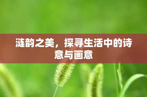 探寻生活中的诗意与画意图片
