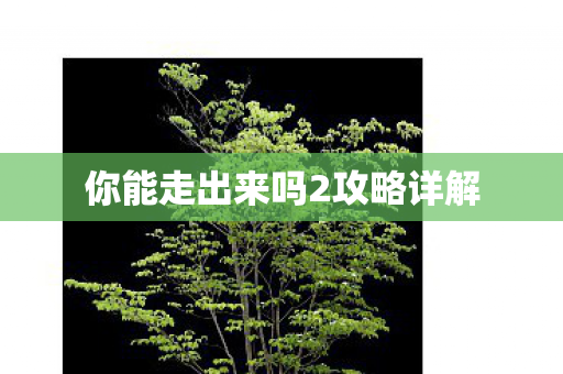 你能走出来吗2攻略详解图片