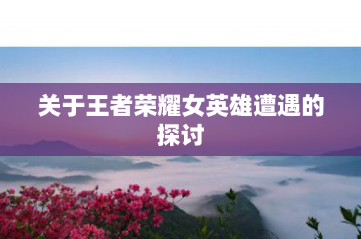 关于王者荣耀女英雄遭遇的探讨图片