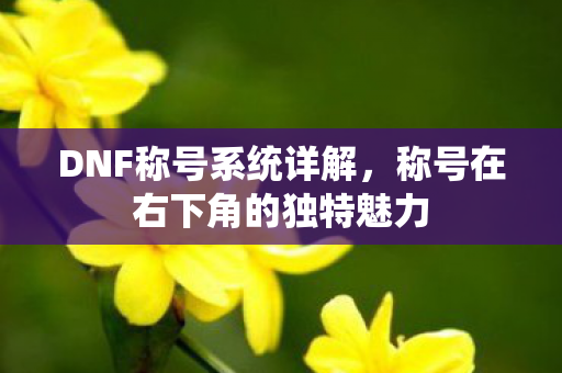 称号在右下角的独特魅力图片