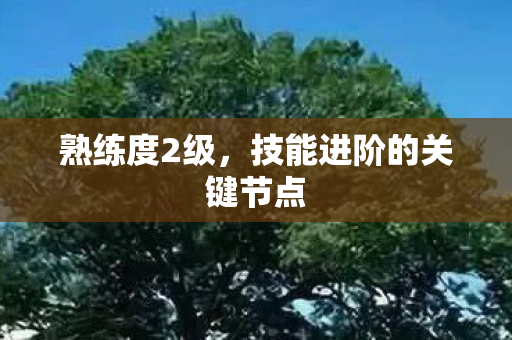 技能进阶的关键节点图片