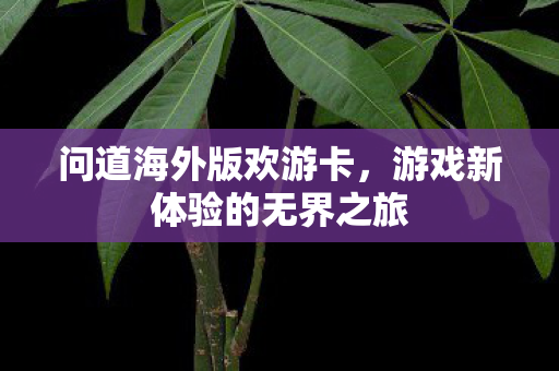 游戏新体验的无界之旅图片