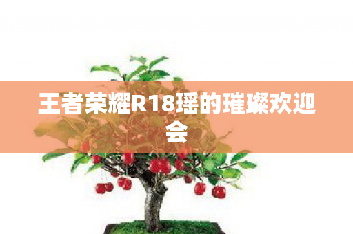 王者荣耀R18瑶的璀璨欢迎会图片
