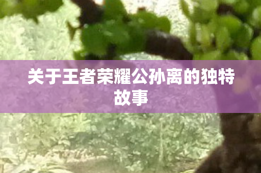 关于王者荣耀公孙离的独特故事图片