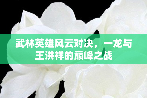 一龙与王洪祥的巅峰之战图片