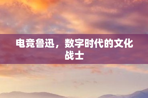 数字时代的文化战士图片