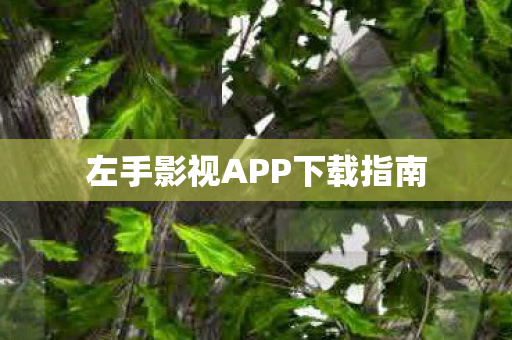 左手影视APP下载指南图片