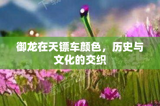 御龙在天镖车颜色图片